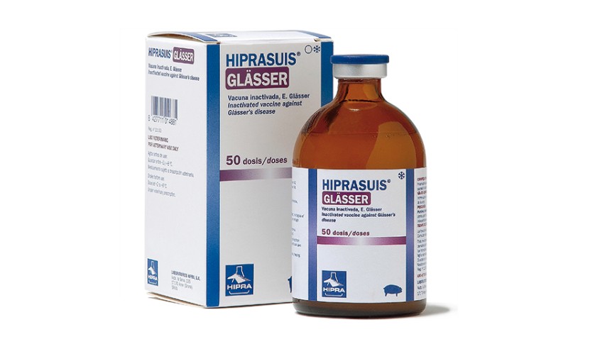HIPRASUIS-GLASSER 50 DOSIS
