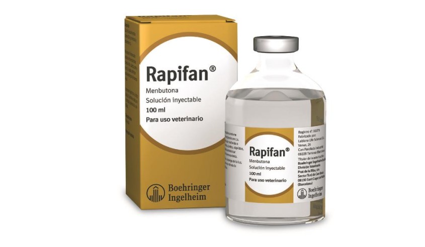 RAPIFAN 100 MG/ML SOL. INYECTABLE 100 ML