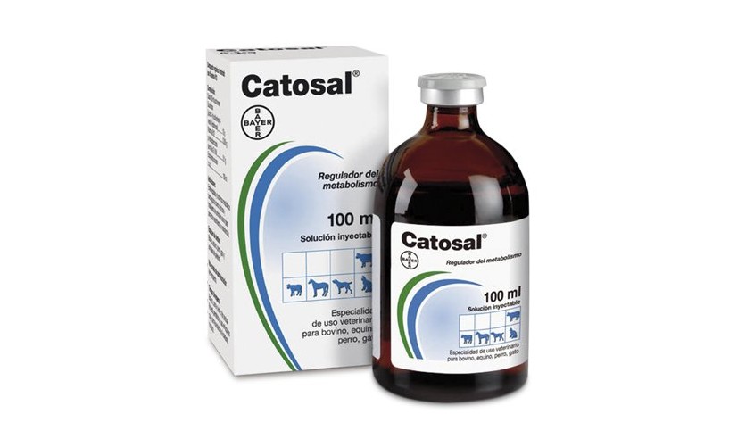 CATOSAL 100 MG/ML SOL. INYECTABLE 100 ML