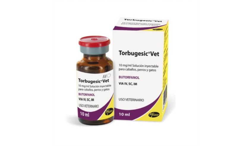 TORBUGESIC SOL. INYECTABLE 10 ML