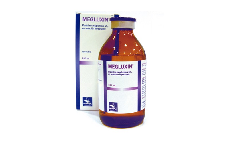 MEGLUXIN 100 ML