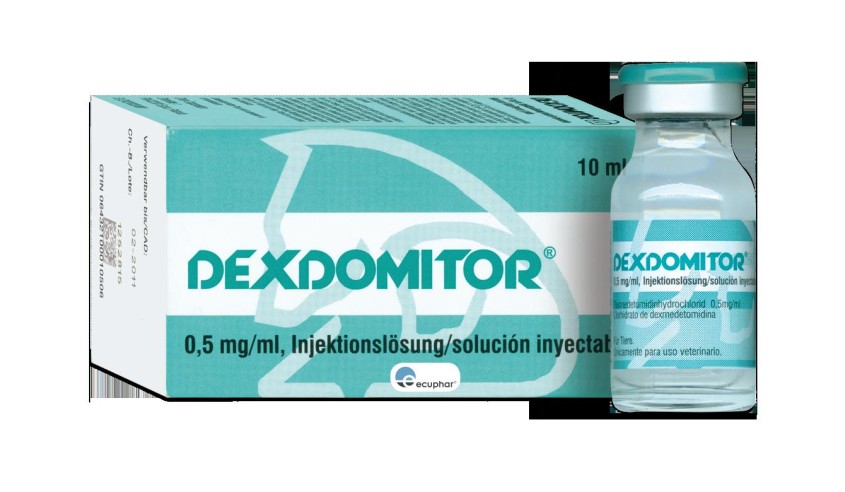 DEXDOMITOR 0,5 MG/ML 10 ML