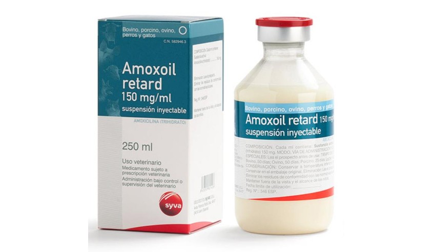 AMOXOIL RETARD 100 ML