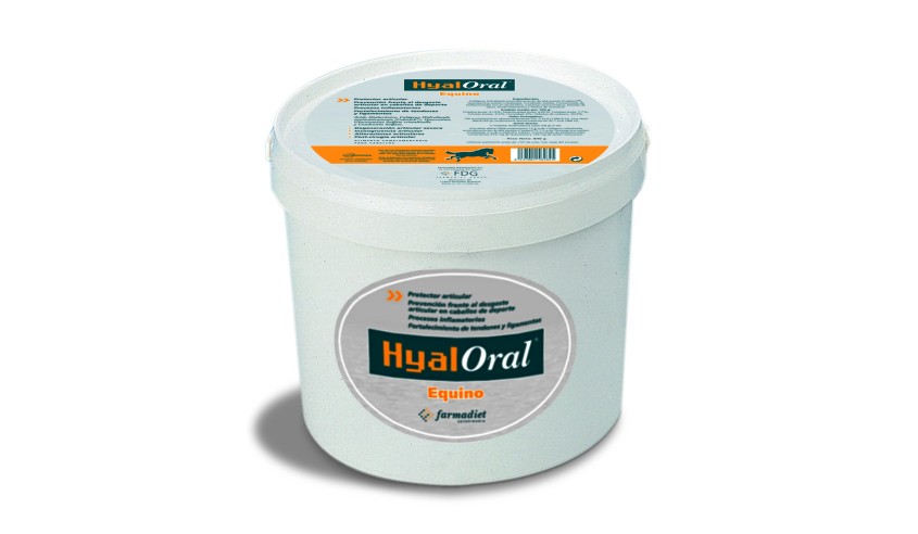 HYALORAL EQUINO 840 G