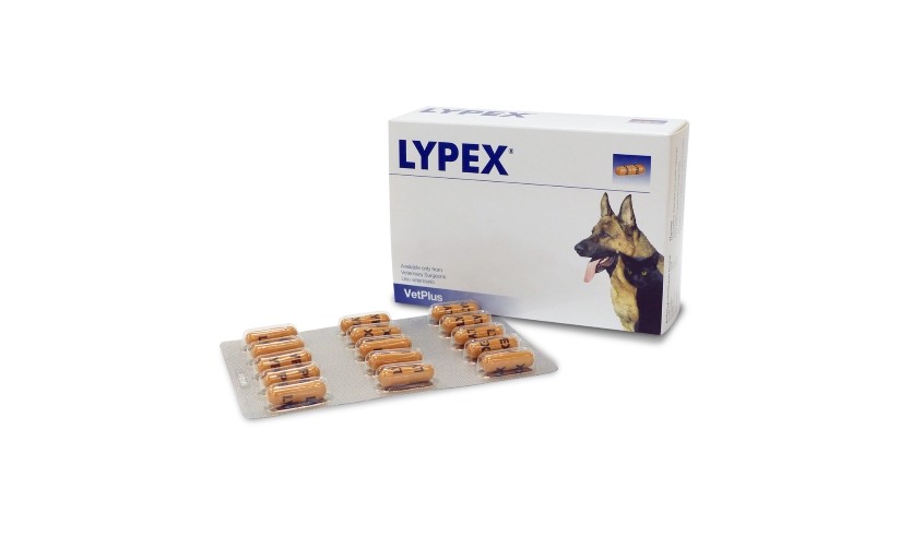 LYPEX 60 COMP
