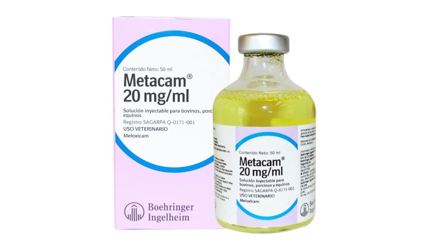 METACAM 20 mg/ml SOL. INY. 12 X 100 ML.