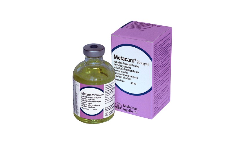 METACAM 20 mg/ml SOL. INY. 50 ML.