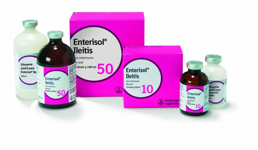ENTERISOL ILEITIS 100 ML (50 DS) AV oral