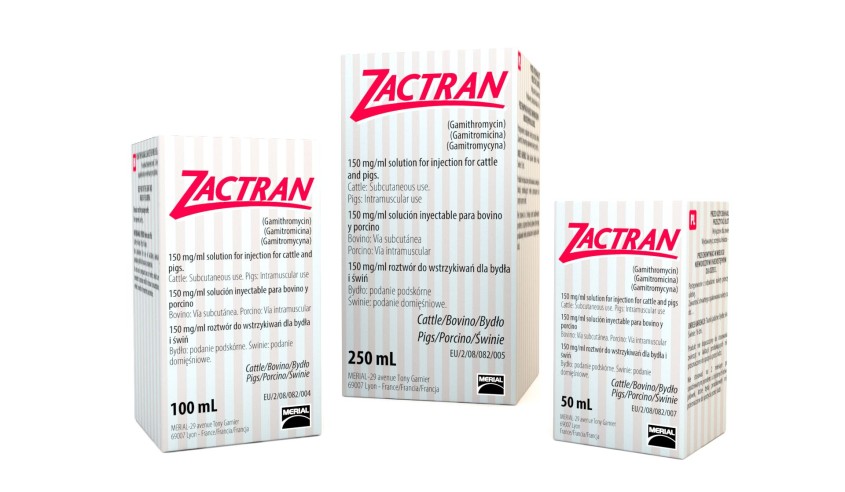 ZACTRAN INY. 100 ML