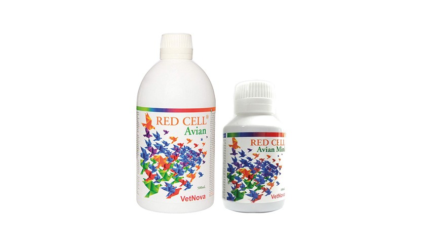 RED CELL AVES 500 ML