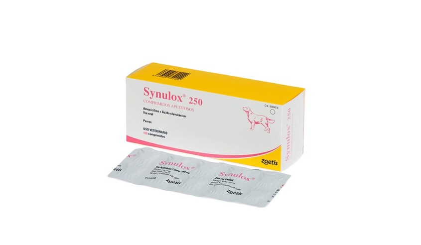 SYNULOX 250 100 COMP
