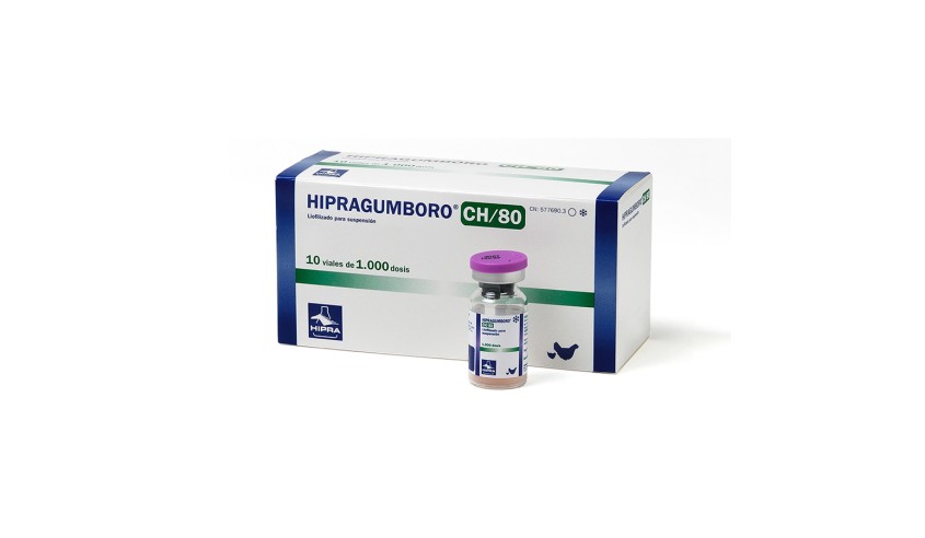 HIPRAGUMBORO CH/80 10 X 1000 DS (CLINICO)
