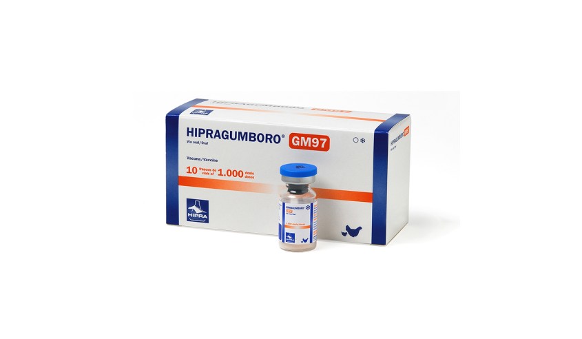HIPRAGUMBORO GM97 10 X 1000 DS (CLINICO)