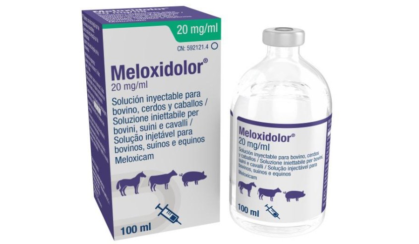 MELOXIDOLOR INYECTABLE 20 MG/ML. 100 ML