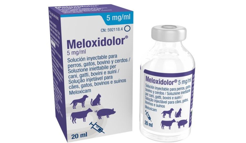 MELOXIDOLOR INYECTABLE 5 MG/ML. 20 ML
