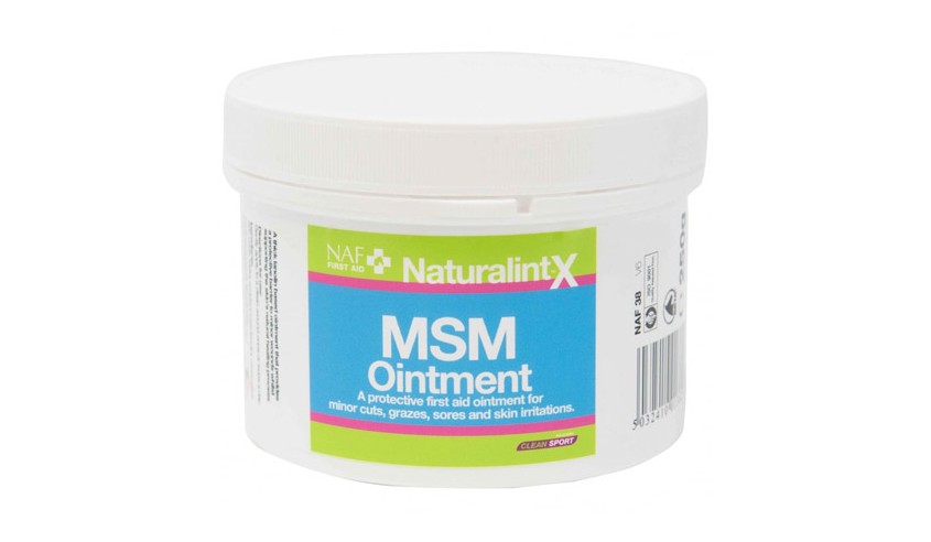 M.S.M. OINTMENT 250 G