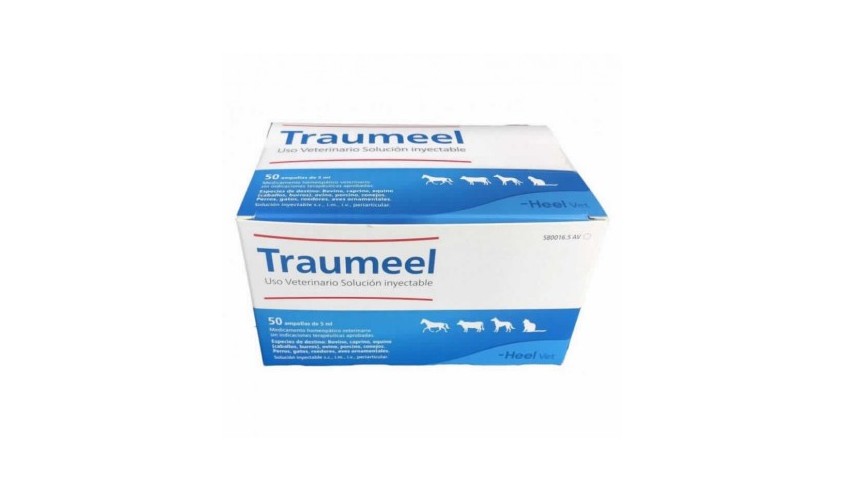 TRAUMEEL INYECTABLE 50X5 ml AV