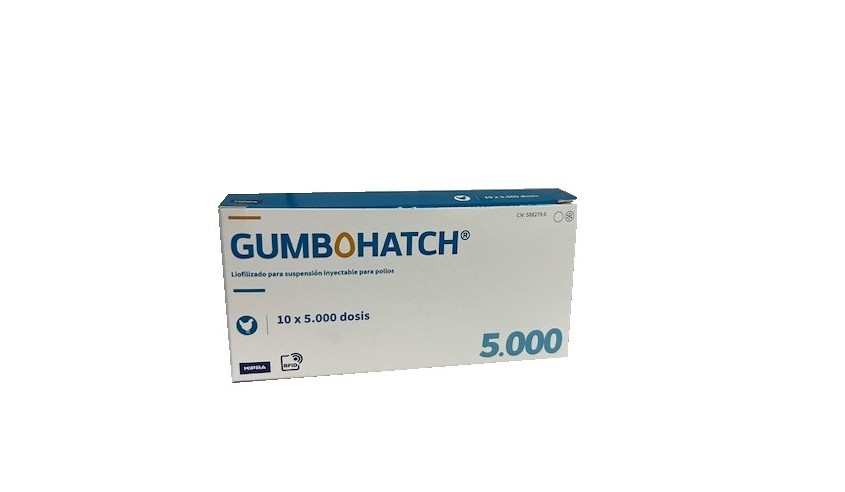 GUMBOHATCH 5000 DS X 10
