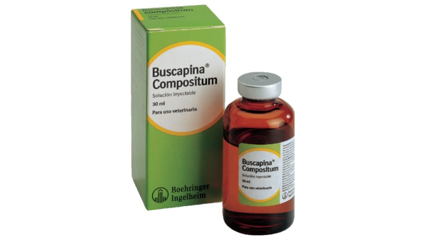 BUSCAPINA COMPOSITUM SOL INY 100 ML