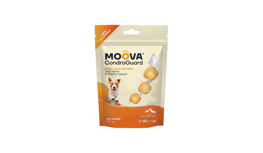 MOOVA CONDROGUARD SMALL & MINIATURE DOGS 60 CHEW