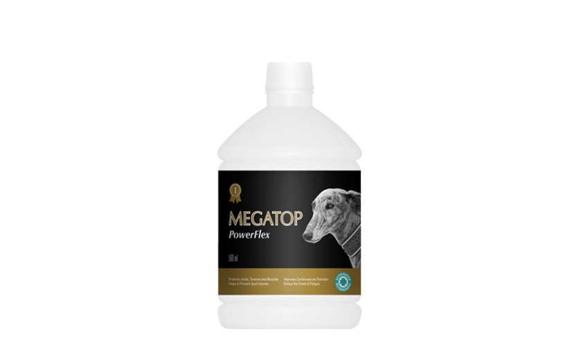 MEGATOP POWERFLEX 500 ML