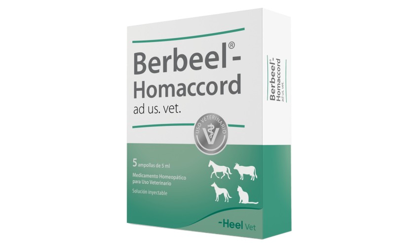 BERBERIS HOMACCORD INYECTABLE 5 X 5 ml AV