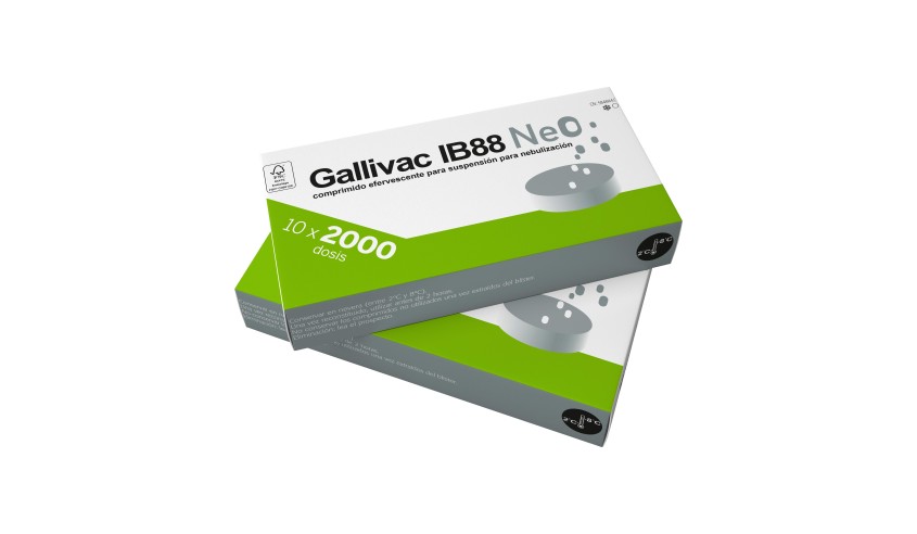 GALLIVAC IB88 NEO 10 X 2000 DS
