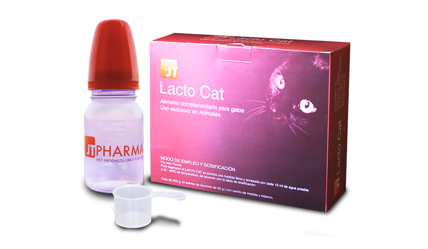 LACTO CAT 4 X 50 GR