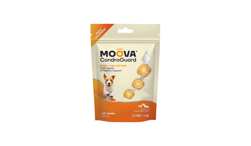 MOOVA CONDROGUARD SMALL & MINIATURE DOGS 60 CHEW