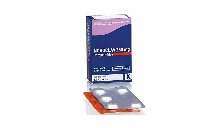 NOROCLAV 250 MG 20 COMP