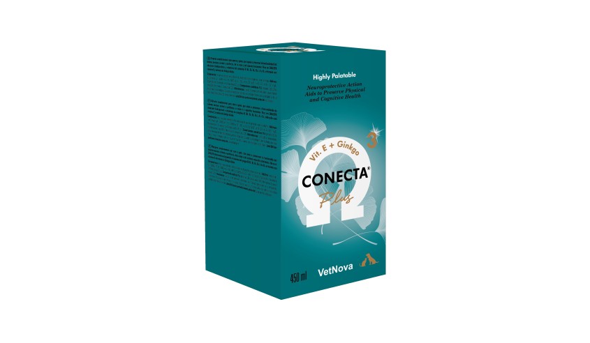 CONECTA PLUS 450 ML