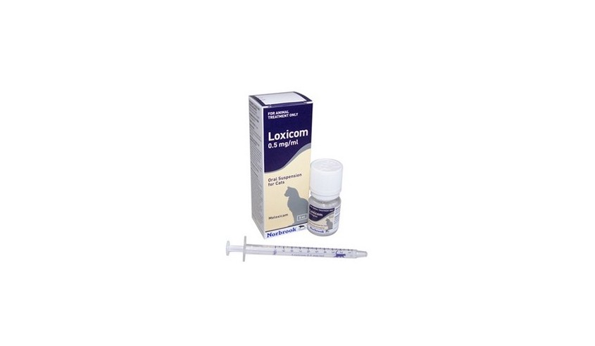 LOXICOM GATOS 15 ML