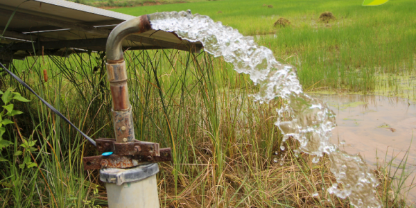Cómo mejorar la calidad del agua de pozo para la salud y nutrición animal