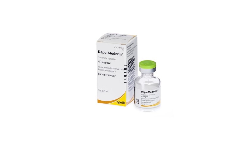 DEPO-MODERIN 5 ML