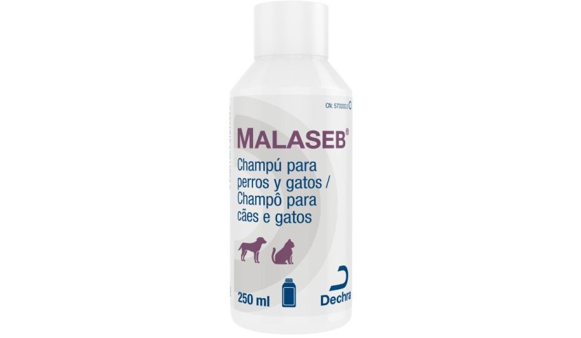 MALASEB CHAMPU 250 ML