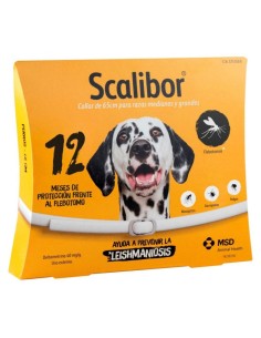 COLLAR SCALIBOR 65 CM. 12...