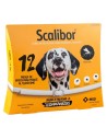 COLLAR SCALIBOR 65 CM. 12 MESES