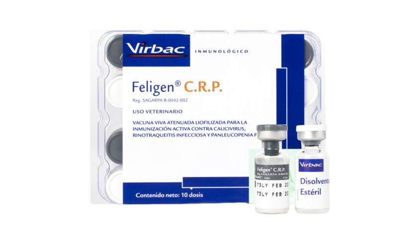 FELIGEN CRP 10 DOSIS
