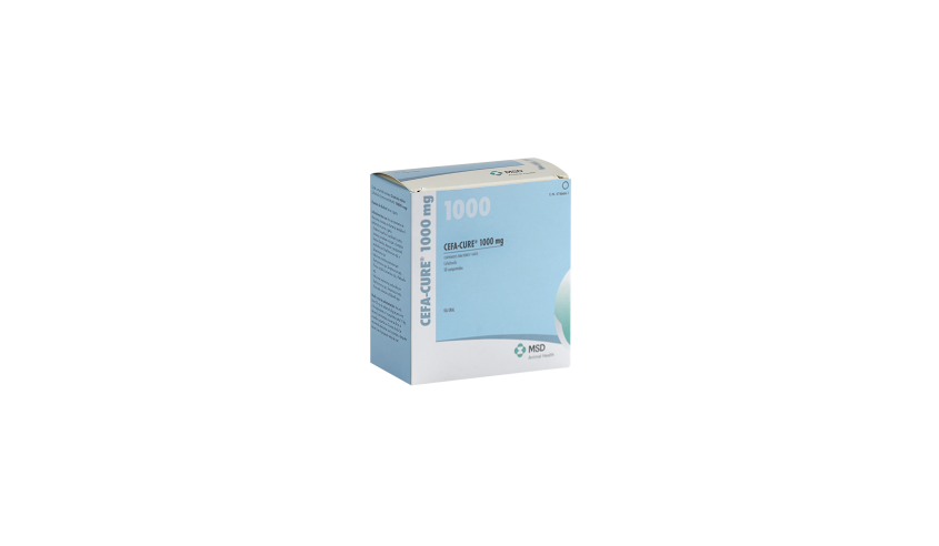 CEFA-CURE 1000 MG 50 COMP.