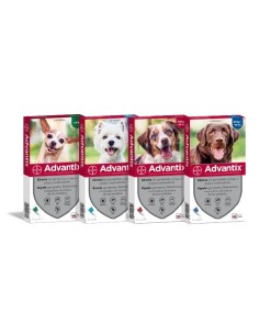 ADVANTIX 4 - 10 KG 4...