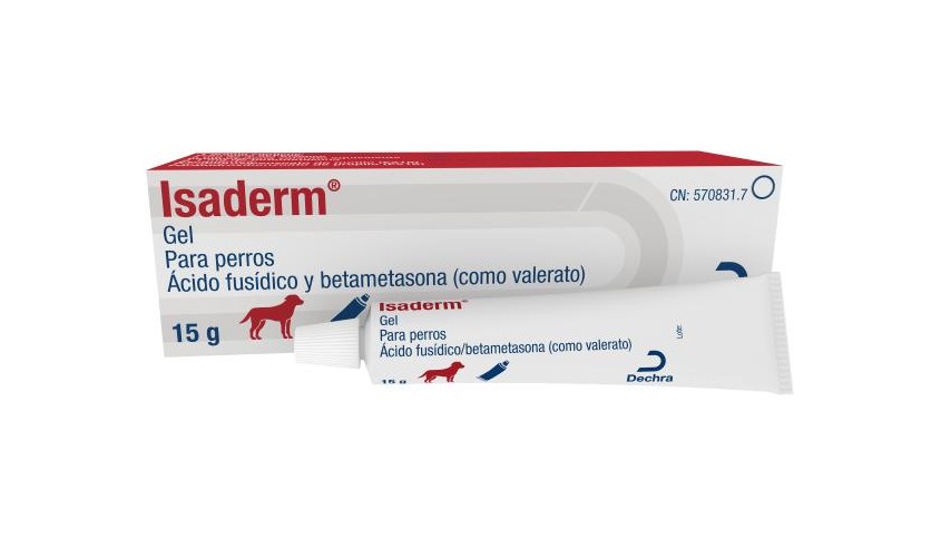 ISADERM GEL 15 G 