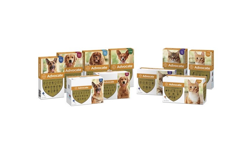 ADVOCATE GATO 4 - 8 KG 3 PIPETAS X...