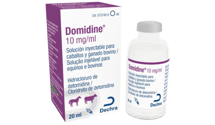 DOMIDINE 10MG/ML 20 ML