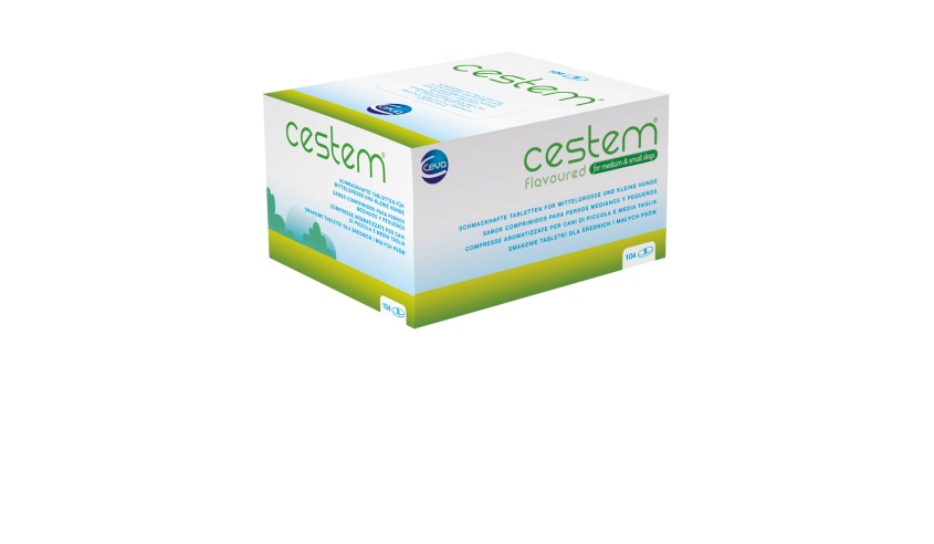 CESTEM PERRO PEQUEÑO 104 COMP.