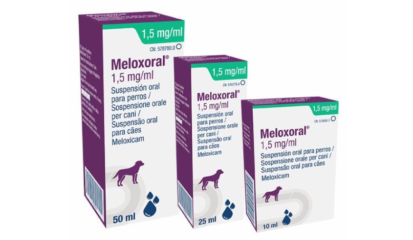 MELOXORAL 1,5 MG PERROS 10 ML