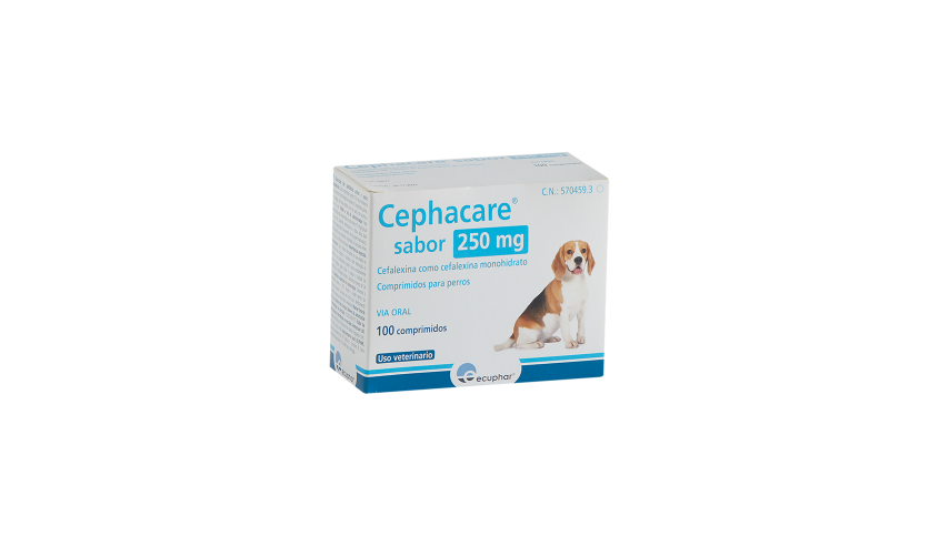 CEPHACARE SABOR 250 MG 100 COMP