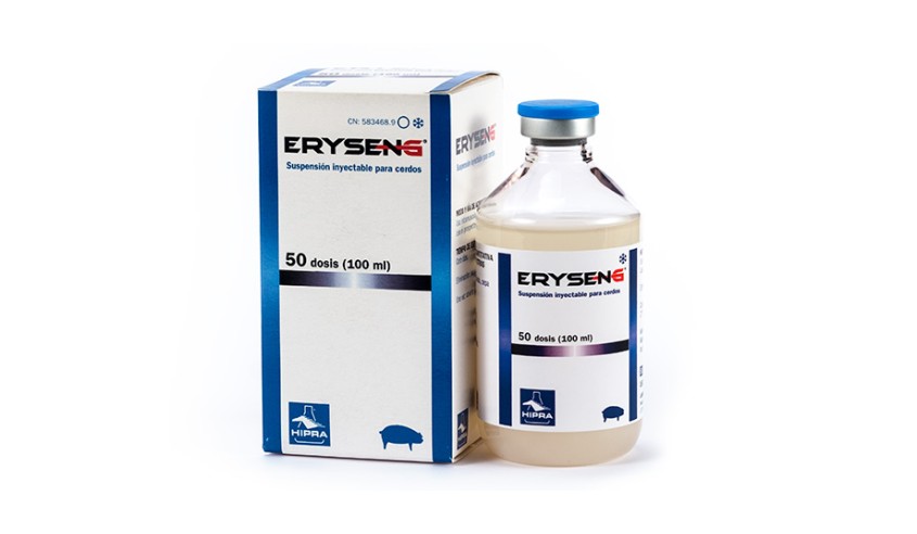 ERYSENG 10 DS