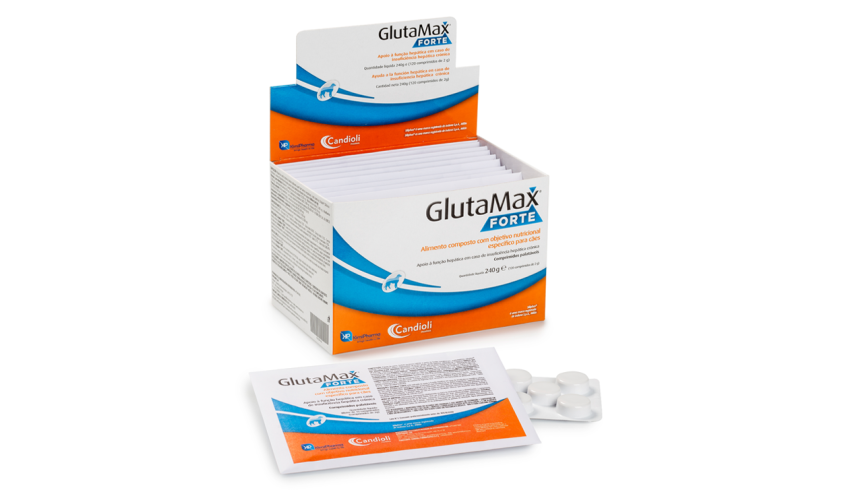 GLUTAMAX FORTE 120 COMP (12 X 10 COMP)