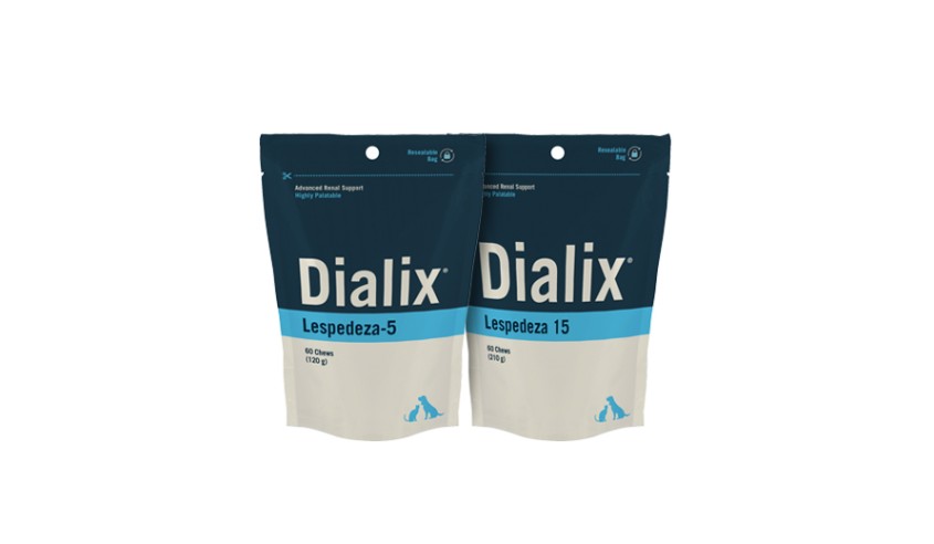 DIALIX LESPEDEZA-5 60 CHICLES
