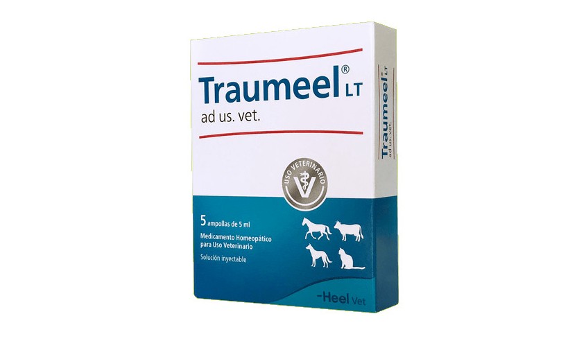 TRAUMEEL INYECTABLE 5 X 5 ml AV